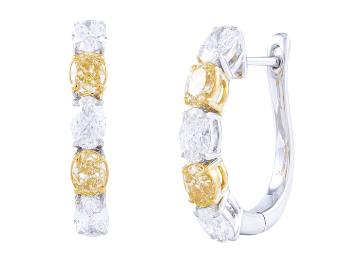 Diamond Earrings - 18 KT White and Yellow Gold