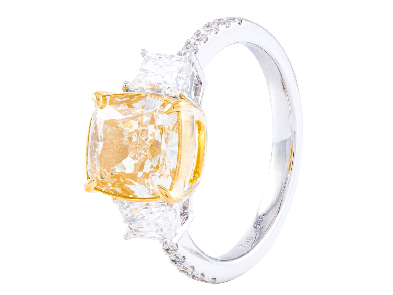 Diamond Ring - 18 KT White and Yellow Gold