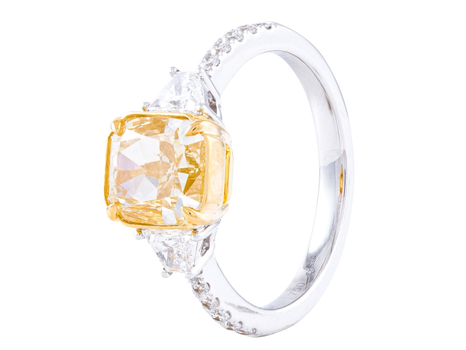 Diamond Ring - 18 KT White and Yellow Gold