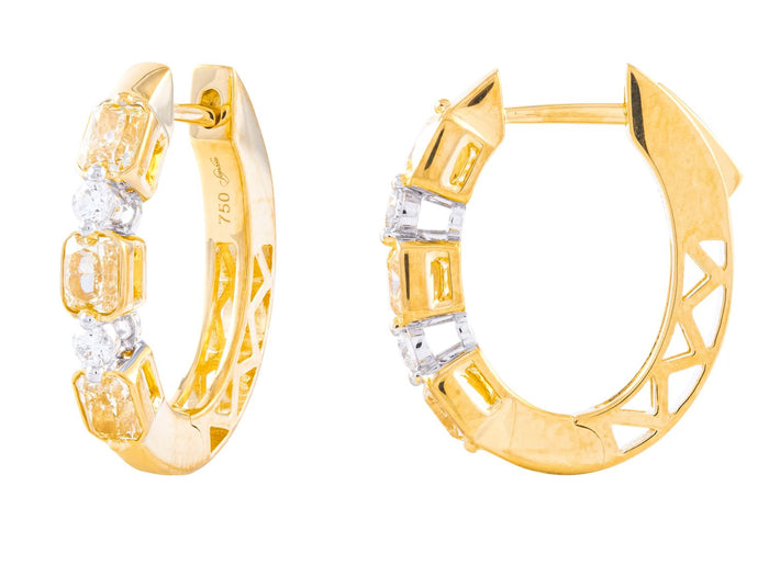 Diamond Earrings - 18 KT White and Yellow Gold