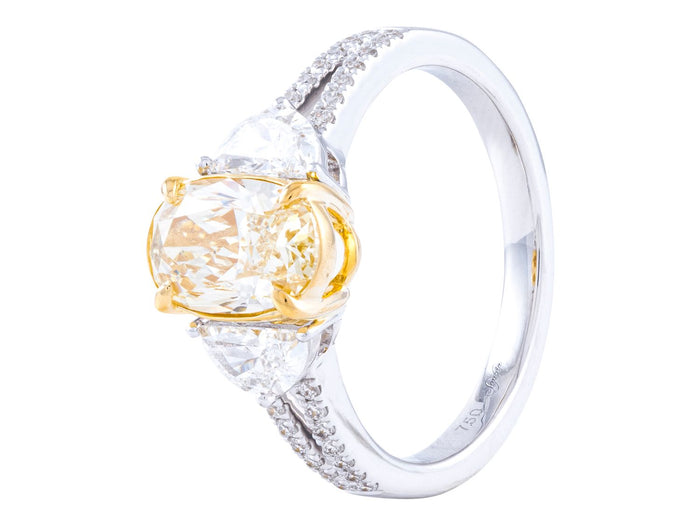 Diamond Ring - 18 KT White and Yellow Gold