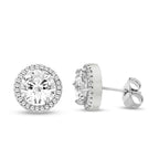 5 Carat Halo Studs by AZ Essentials
