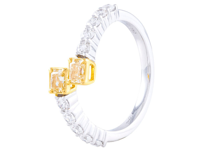 Diamond Band - 18 KT White and Yellow Gold