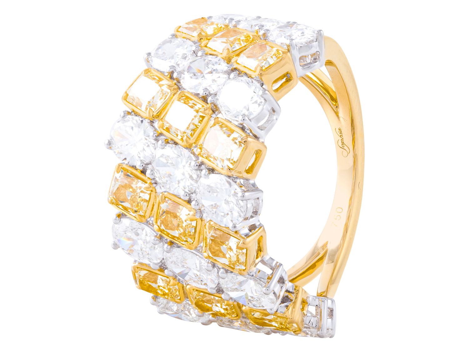 Diamond Band - 18 KT White and Yellow Gold