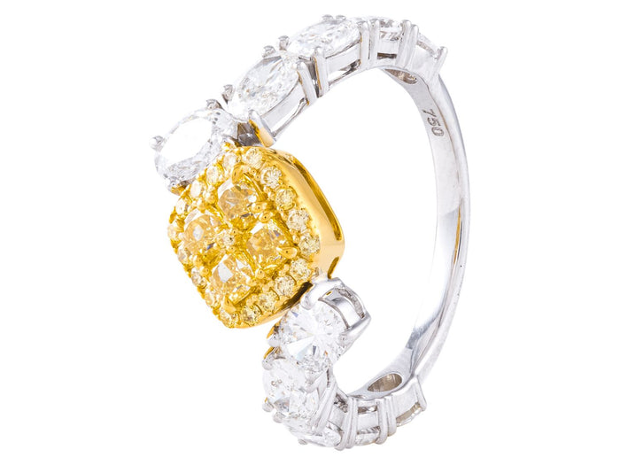 Diamond Ring - 18 KT White and Yellow Gold