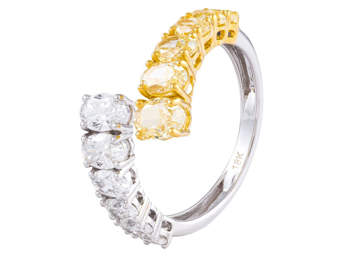 Diamond Ring - 18 KT White and Yellow Gold