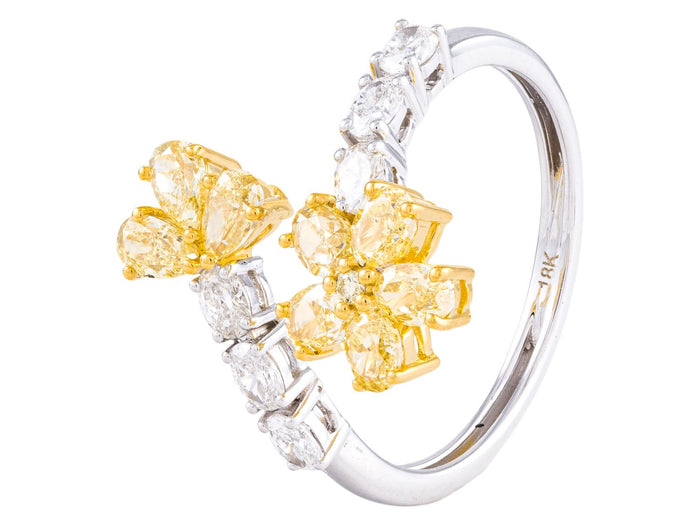 Diamond Ring - 18 KT White and Yellow Gold