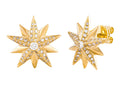 Diamond Earrings - 14 KT Yellow Gold