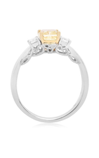 Roman and Jules Engagement Ring UR1871-2