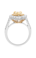 Roman and Jules Engagement Ring NR762-8