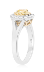 Roman and Jules Engagement Ring NR760A-3