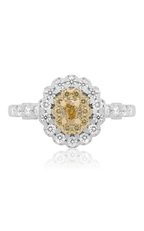 Roman and Jules Engagement Ring NR860-1