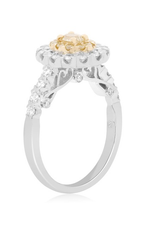 Roman and Jules Engagement Ring NR860-1