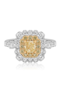 Roman and Jules Engagement Ring NR860A-1