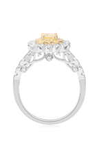 Roman and Jules Engagement Ring NR860A-1