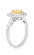 Roman and Jules Engagement Ring NR860A-1