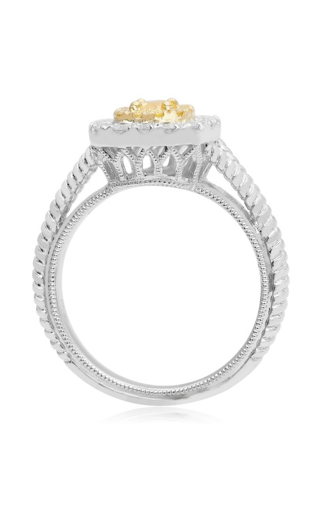 Roman and Jules Engagement Ring NR760C-4