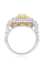 Roman and Jules Engagement Ring NR759-10