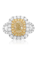 Roman and Jules Engagement Ring NR862A-1