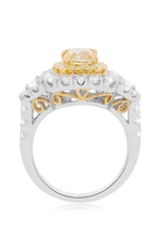 Roman and Jules Engagement Ring NR862A-1