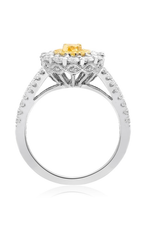 Roman and Jules Engagement Ring NR779-2