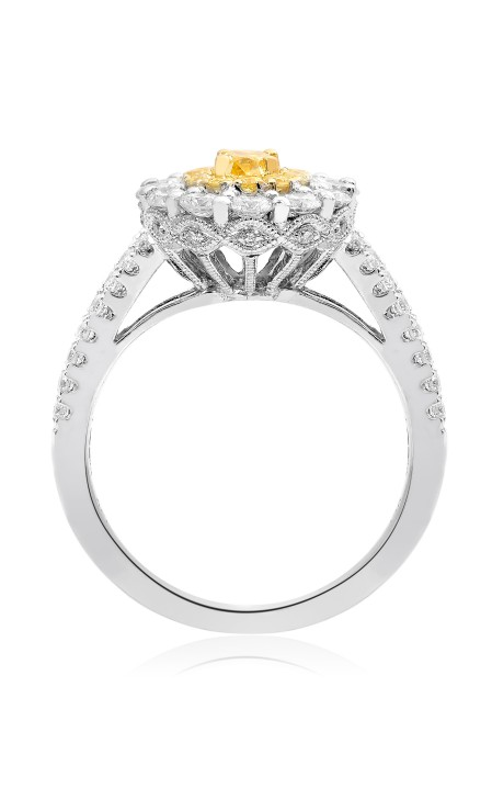 Roman and Jules Engagement Ring NR779-2