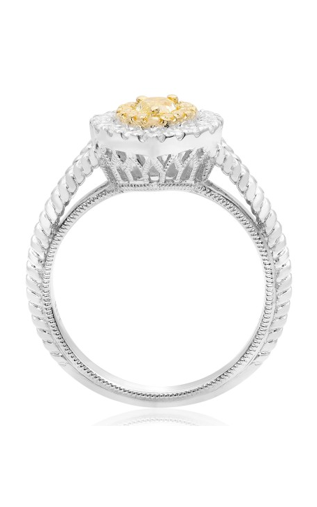 Roman and Jules Engagement Ring NR745C-1