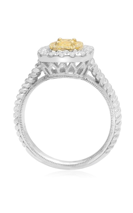 Roman and Jules Engagement Ring NR745A-2