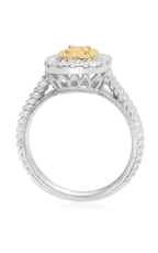 Roman and Jules Engagement Ring NR745A-2