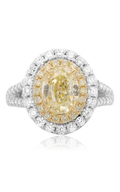 Roman and Jules Engagement Ring NR849-1