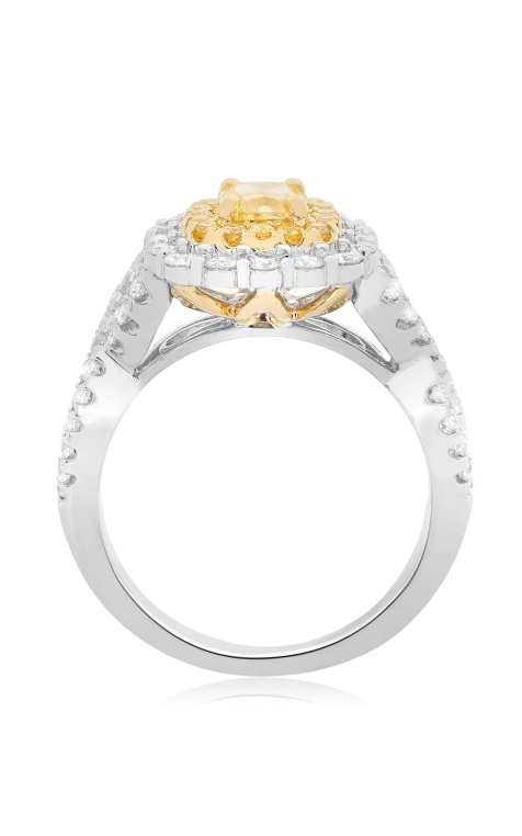 Roman and Jules Engagement Ring NR844-3