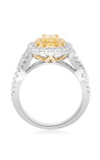Roman and Jules Engagement Ring NR844-3