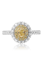 Roman and Jules Engagement Ring NR896-1
