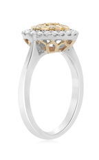 Roman and Jules Engagement Ring NR884A-1