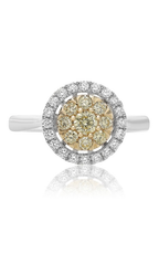 Roman and Jules Engagement Ring NR884D-1