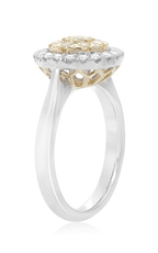 Roman and Jules Engagement Ring NR884D-1