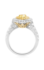 Roman and Jules Engagement Ring NR875-1