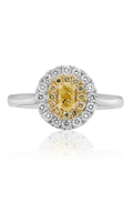 Roman and Jules Engagement Ring NR745-6