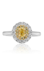 Roman and Jules Engagement Ring NR745-6