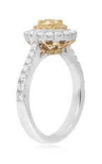 Roman and Jules Engagement Ring NR741B-1