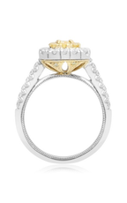 Roman and Jules Engagement Ring NR879-1