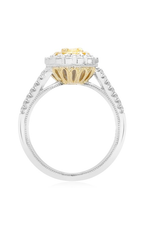 Roman and Jules Engagement Ring NR881-1