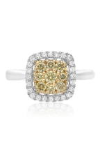 Roman and Jules Engagement Ring NR884-1