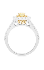 Roman and Jules Engagement Ring FR236WY-18K