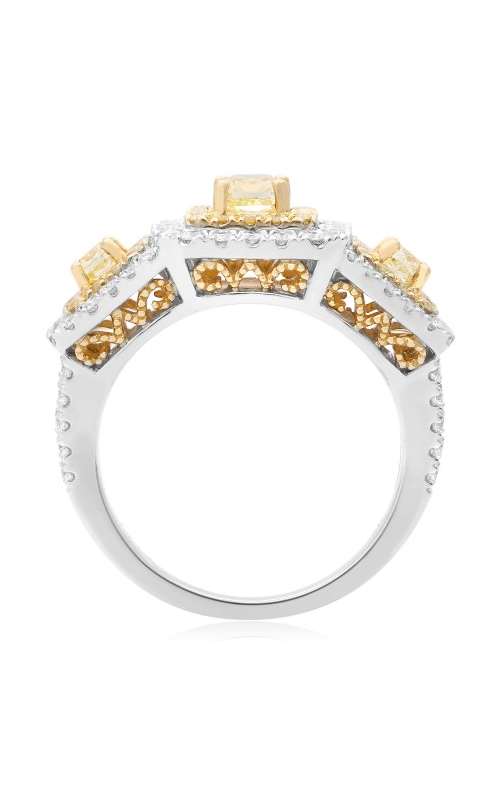 Roman and Jules Engagement Ring FR260WY-18K