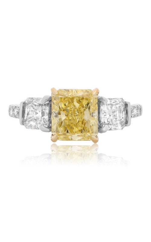 Roman and Jules Engagement Ring KR2471WY-18K