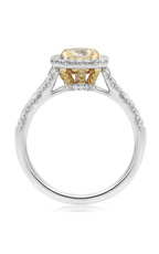 Roman and Jules Engagement Ring KR3561WY-18K