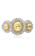 Roman and Jules Engagement Ring KR3974WY-18K