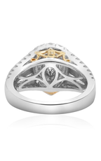Roman and Jules Engagement Ring NR735-1