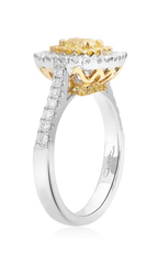 Roman and Jules Engagement Ring NR741A-1